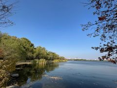 -长春市南湖公园