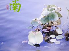 -沧浪亭
