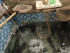-九寨沟石锅鱼(沣峪口二十年店)