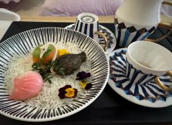 -广州和睦家医院·医学月子