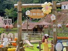 -龙岩森林水乡景区