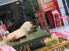 -喵喵咪呀布偶猫咖(春熙路店)