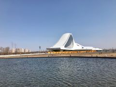 -哈尔滨大剧院