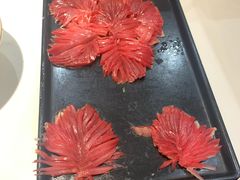 -卤校长老火锅(杨家坪直营店)