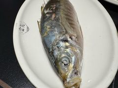 -吴记富苑(朝阳店)