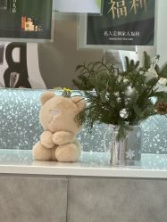 -三只熊皮肤管理中心旗舰店