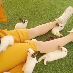 -萌宠亲子动物乐园(槐房万达店)