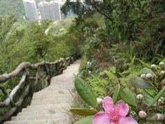 -梧桐山风景名胜区