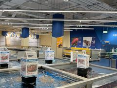 -盒马X会员店(上海森兰商都店)
