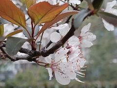 -共青国家森林公园-售票处