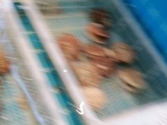 -锅老头铁锅炖•大锅蒸汽海鲜(韩乐坊店)