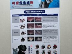 -爱妮康宠物医院·干细胞免疫细胞·肿瘤·心脏(张江店)