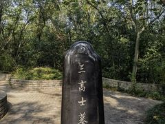 -上海佘山国家森林公园天马山园