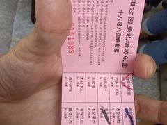 -朝阳公园游乐园