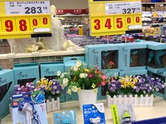 -麦德龙(十里河店)