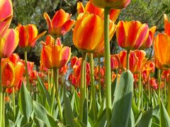 -长春公园(普阳街道)