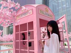-金茂览秀城