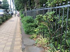 -三鹰之森吉卜力美术馆