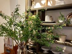 -Ginko银子(青龙街店)
