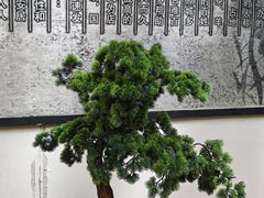 -锦上中式酒馆(南内环店)