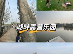 -西青郊野公园