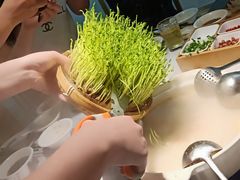 -广顺鑫猪肚鸡(经八路店)