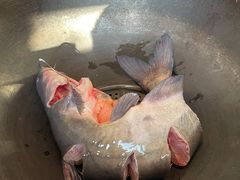 -北京龙庆四季香农家饭庄·灶台鱼·碳烤虹鳟鱼(龙庆峡店)