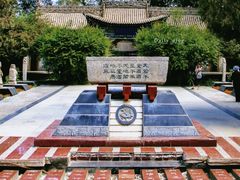 -金塔沙漠胡杨林景区