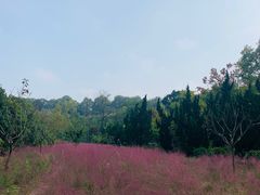 -五谷屯私房菜·始于2005(中山陵童卫路店)