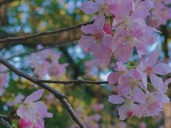-乌山风景区