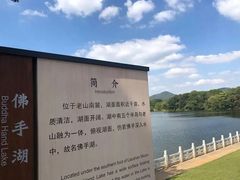 -佛手湖郊野公园