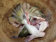 江团鱼-云中鱼蒸汽石锅鱼(浦东食品城店)