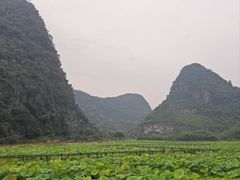 -佰迪乐KTV(阳桥店)