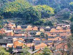 -杨家堂村