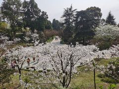 -南山植物园
