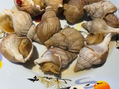 -松子料理(白家庄店)