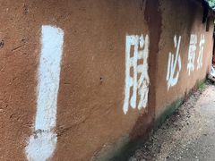 -微山湖红荷湿地景区