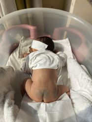 -皇家月府月子中心(沈阳店)