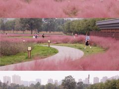 -汉长安城未央宫国家考古遗址公园