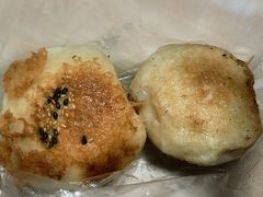 鲜肉白菜馅-毛氏汽水包(山海关路店)
