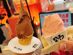 -野人先生现做冰淇淋(北京王府井东方新天地店)