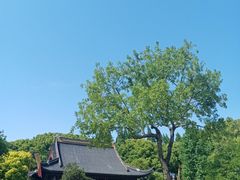 -上海方塔园