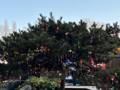 -同里国家湿地公园