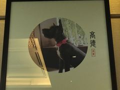-太极禅苑