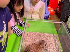 -正佳雨林生态植物园
