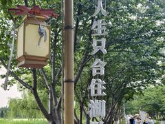 -长田漾湿地公园