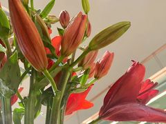 -南堂馆·新川菜(春熙路店)