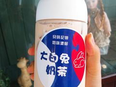 -猫的魔法密林(衣裳街店)