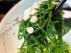 -蒙料·手把肉(望京店)
