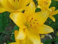 -长春公园(普阳街道)